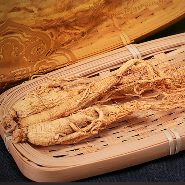 Hierba china de ginseng (Ren Sheng)
